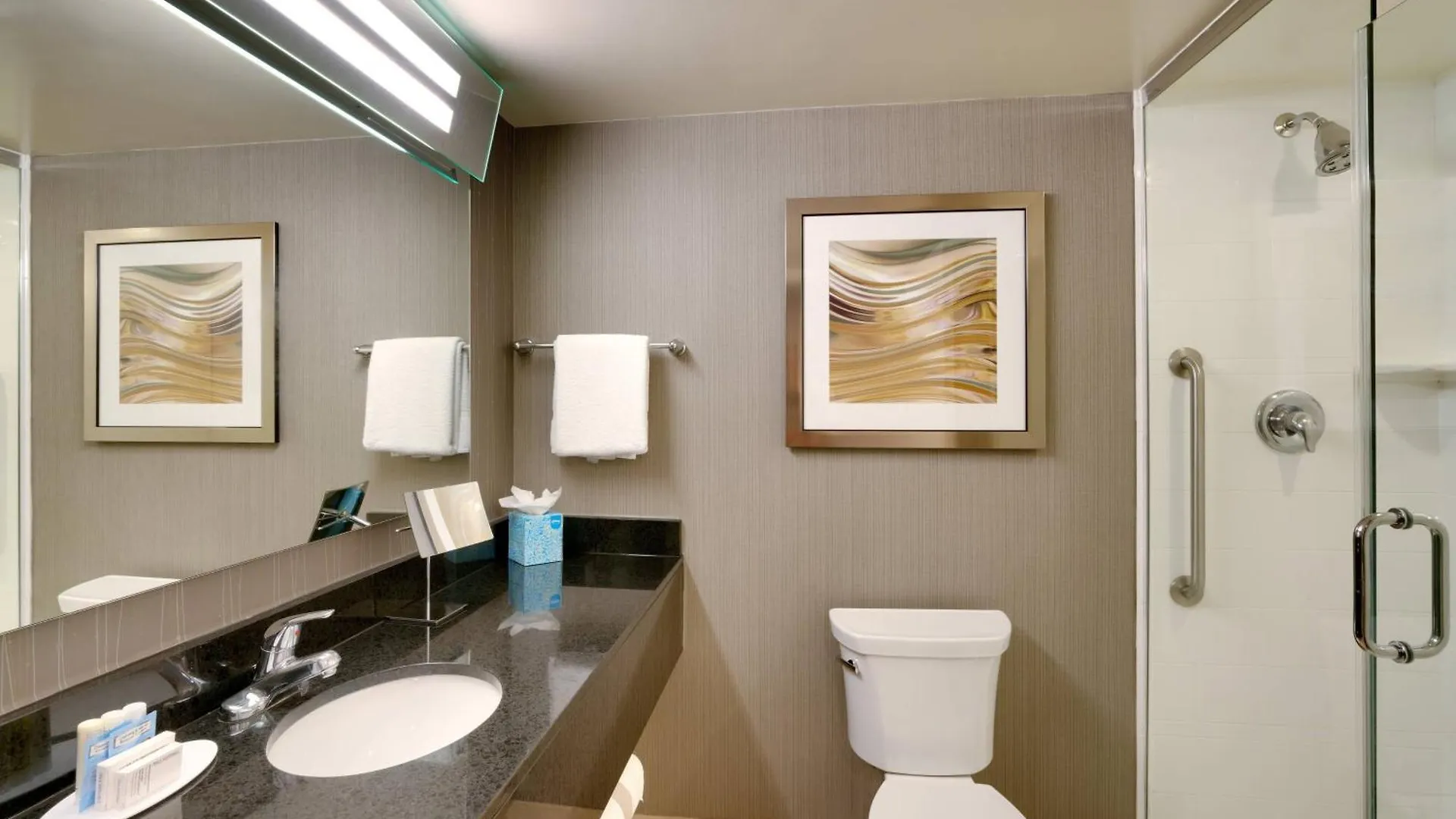 Hotel Courtyard By Marriott Charlotte Airport Loso